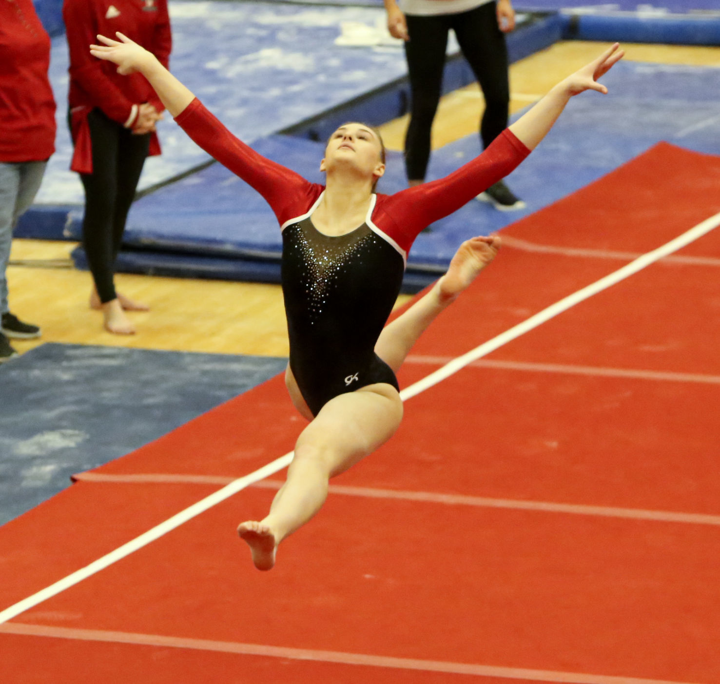 Portage Gymnastics Regional meet